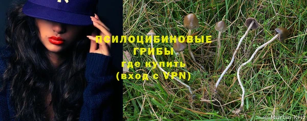 дмт Абаза