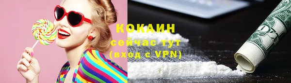 дмт Абаза