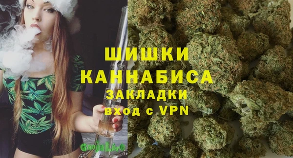 дмт Абаза