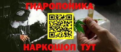 jwh Кингисепп