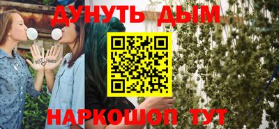 jwh Кингисепп