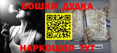 jwh Кингисепп