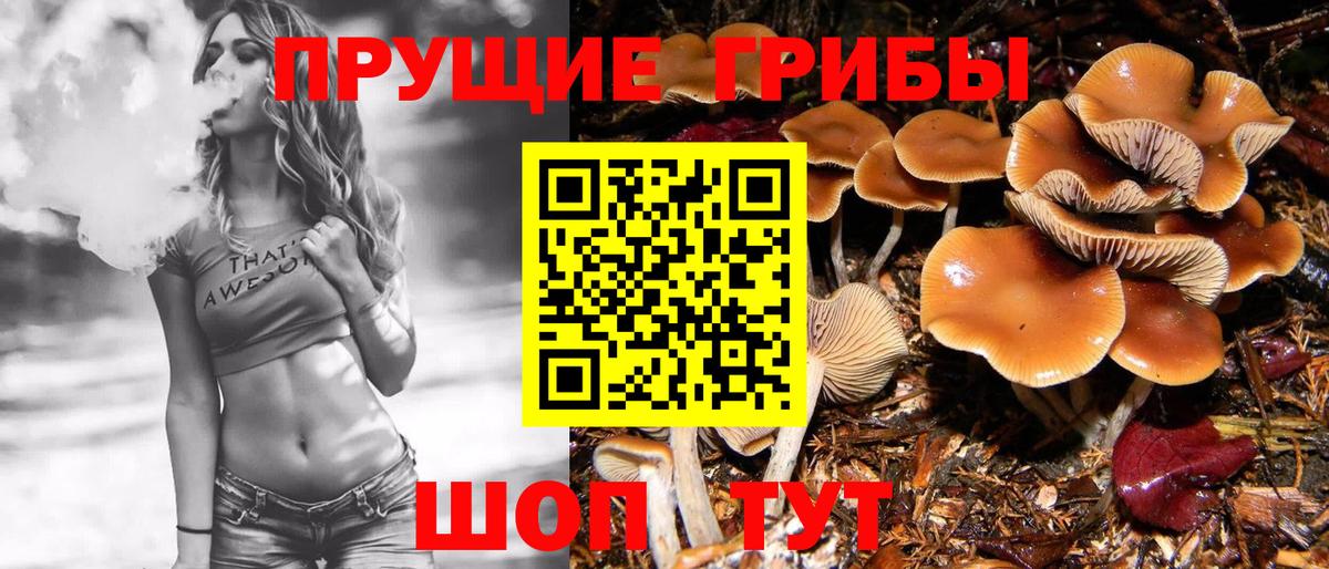 Псилоцибиновые грибы MAGIC MUSHROOMS  Вход с VPN  Ялта 