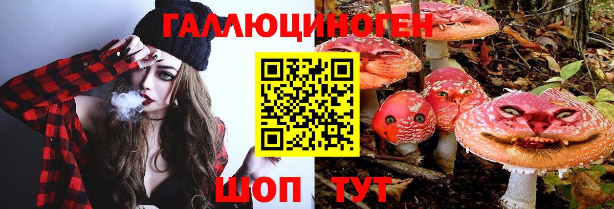 Галлюциногенные грибы Magic Shrooms Ялта